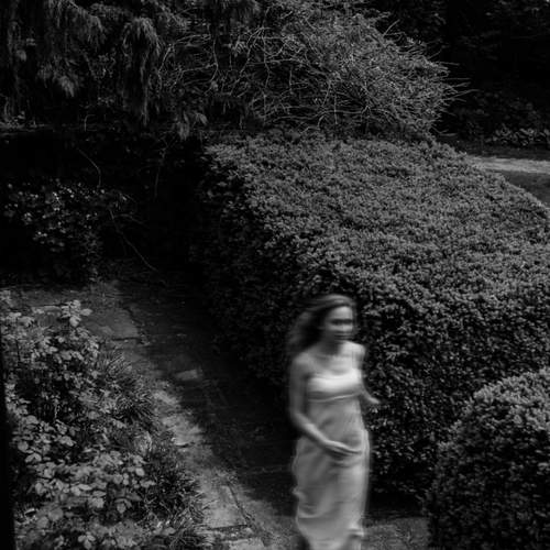 In the gardens