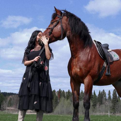 Photo #13158204