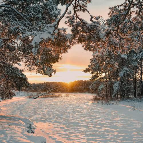 Photo #13158217
