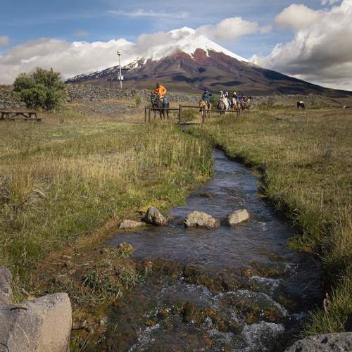 Photo #13158271