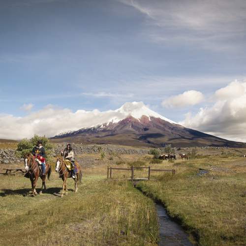 Photo #13158272