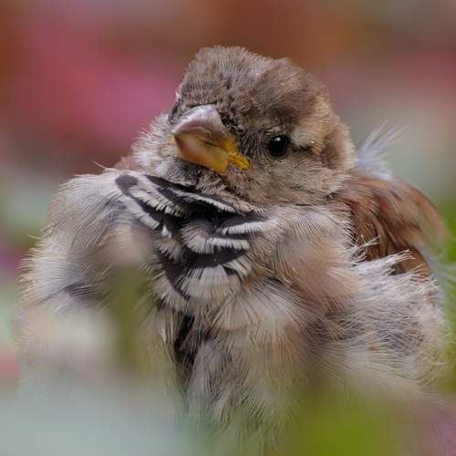 Фотография #13158554