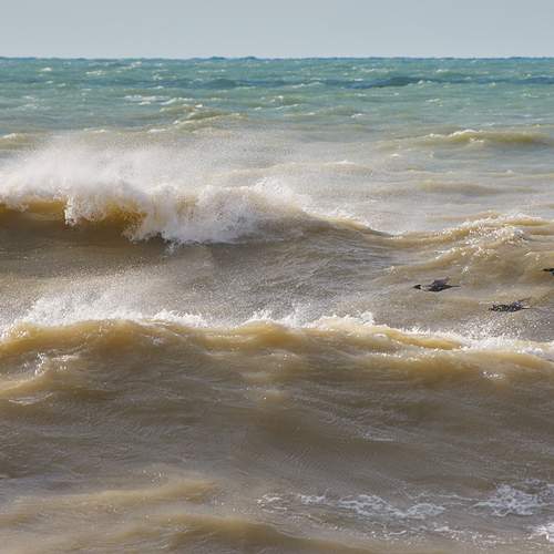 Фотография #13158560