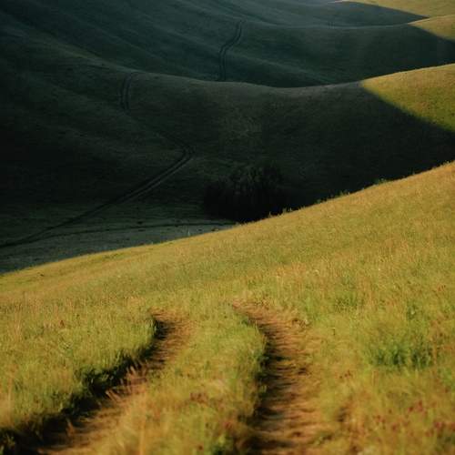 Photo #13158738