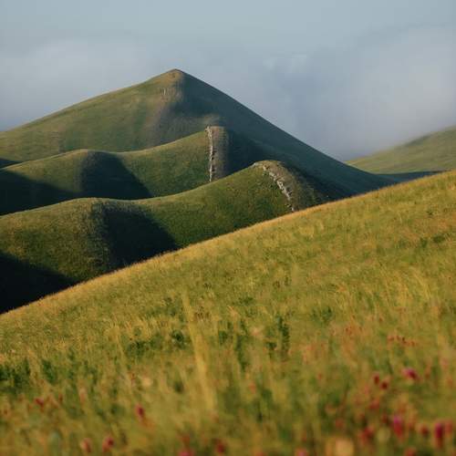 Photo #13158739