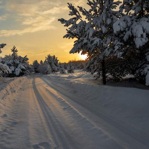 Фотография #13158832