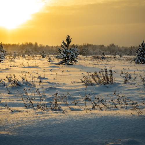 Фотография #13158857