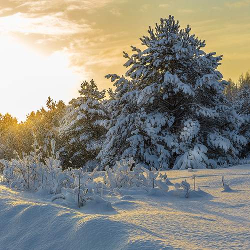 Фотография #13158879