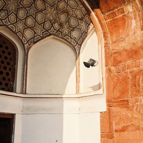 Photo #13158884