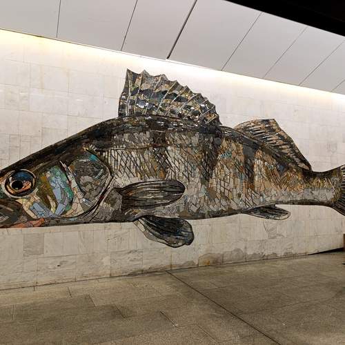 Фотография #13158938