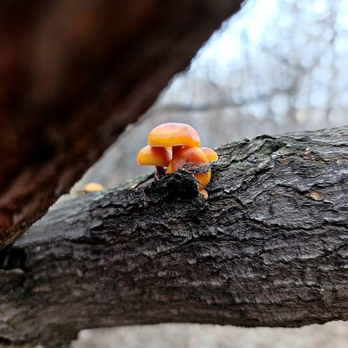 Фотография #13158986