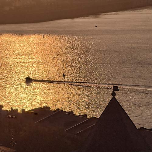 Photo #13159026