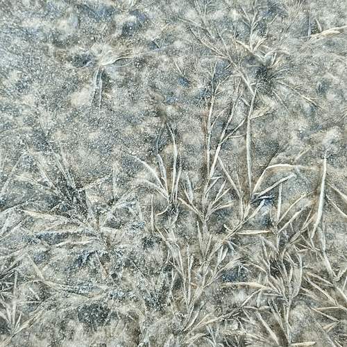 Photo #13159290