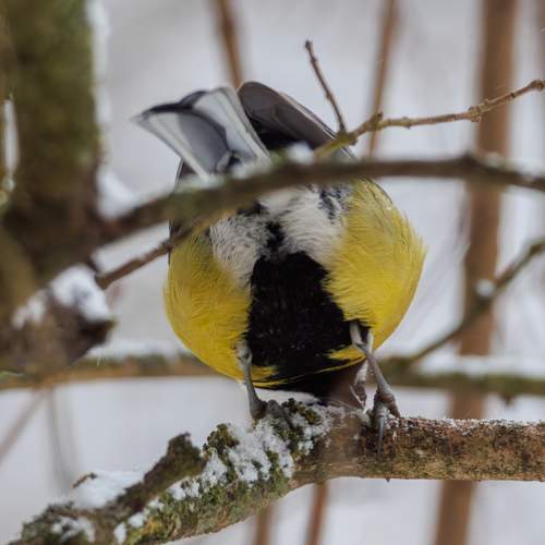Photo #13159390