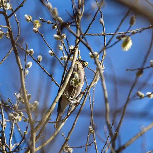 Photo #13159401