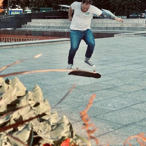 Photo #13159448
