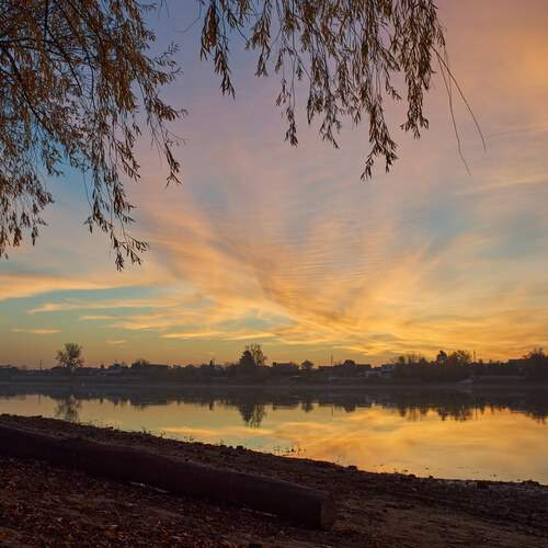 Photo #13159466