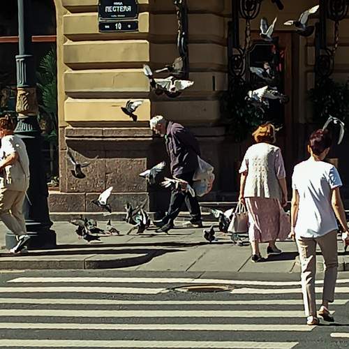Photo #13159481