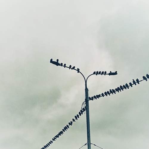 Photo #13159490