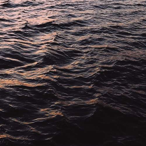 Photo #13159499