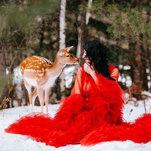 Photo #13159632