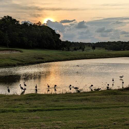 Photo #13160148