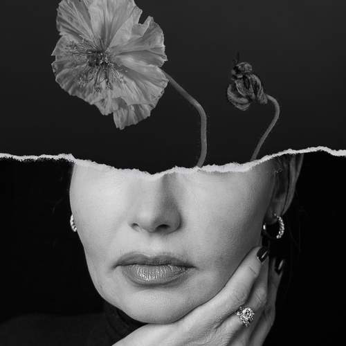 Фотография #13160194