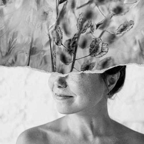 Фотография #13160196