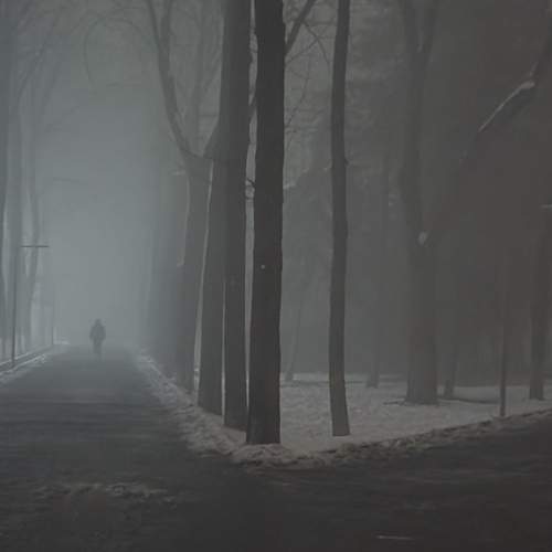 Photo #13160264