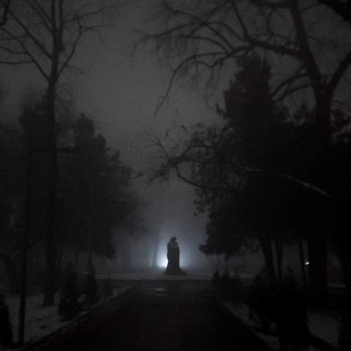 Photo #13160271