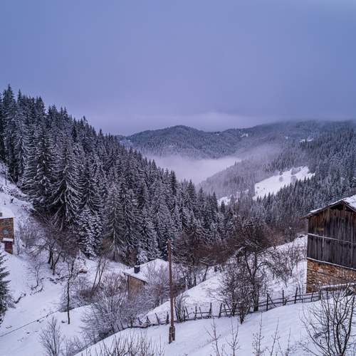Silent winter