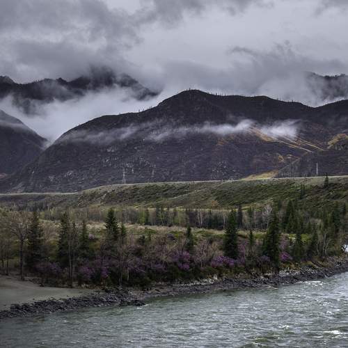 Photo #13160638
