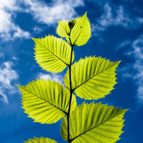 Фотография #13160968