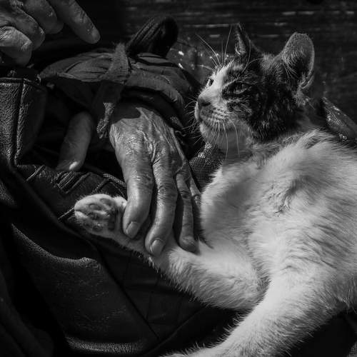 Photo #13161031