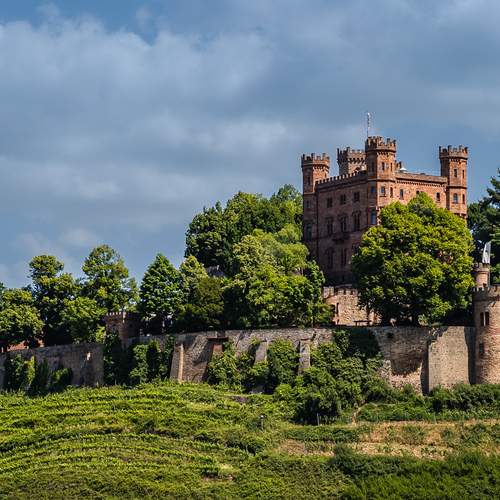 Фотография #13161095