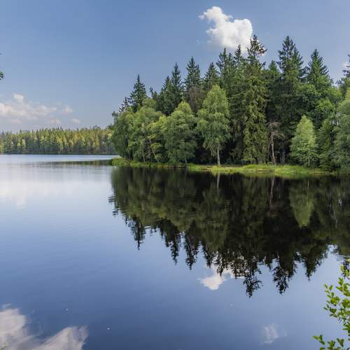 Фотография #13161096