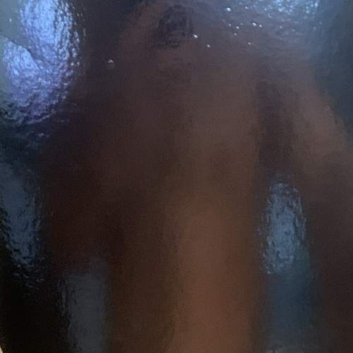 Photo #13161243