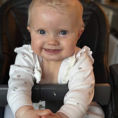 Photo #13161351