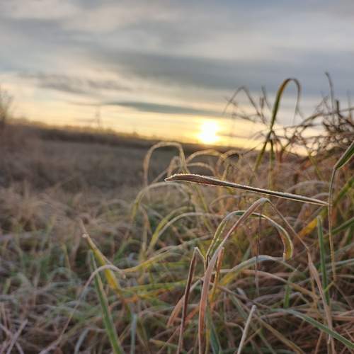 Photo #13161475