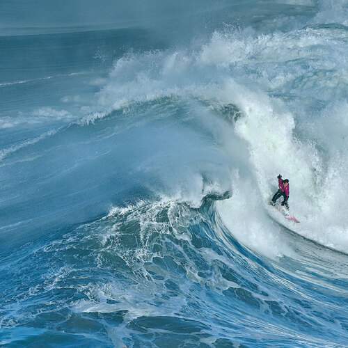 Photo #13161490