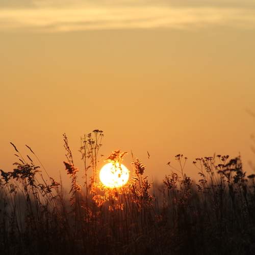 Photo #13161548