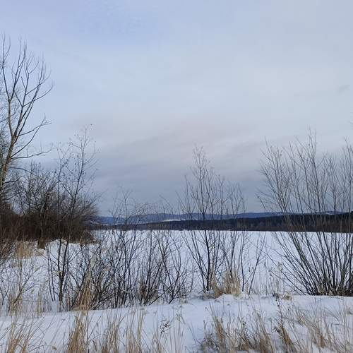 Photo #13161552