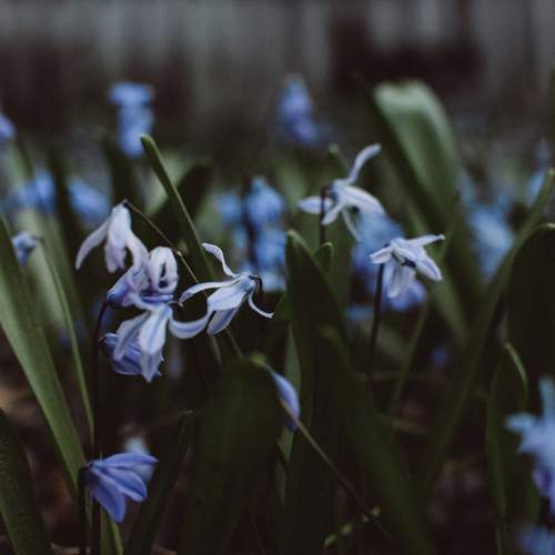 Photo #13161769