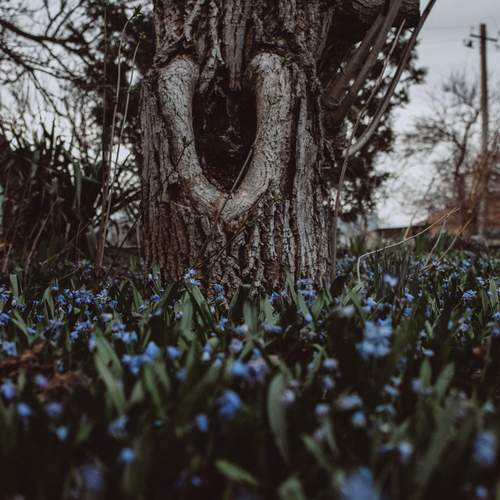 Photo #13161775