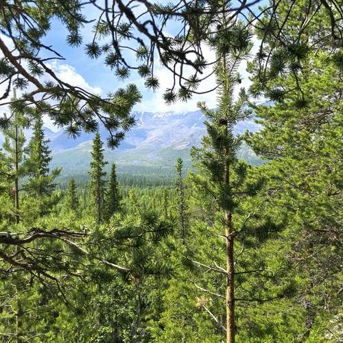 Photo #13161811