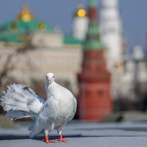 Лариса Рулёва