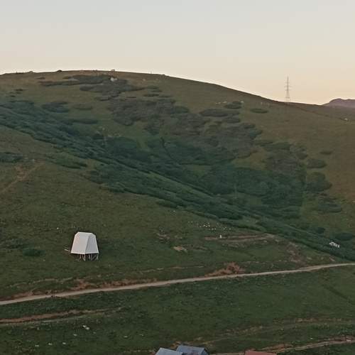 Photo #13161919