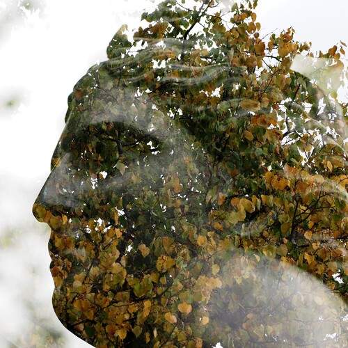 Photo #13161938