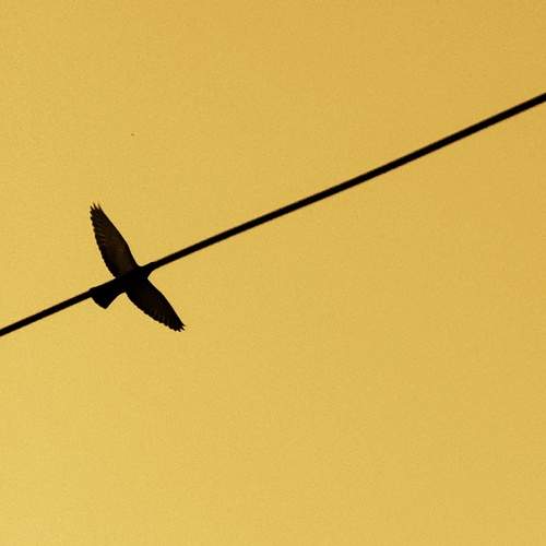 Photo #13162016