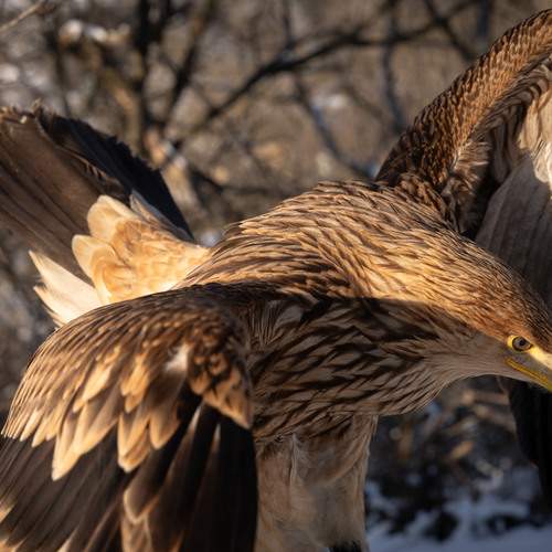 Photo #13162073